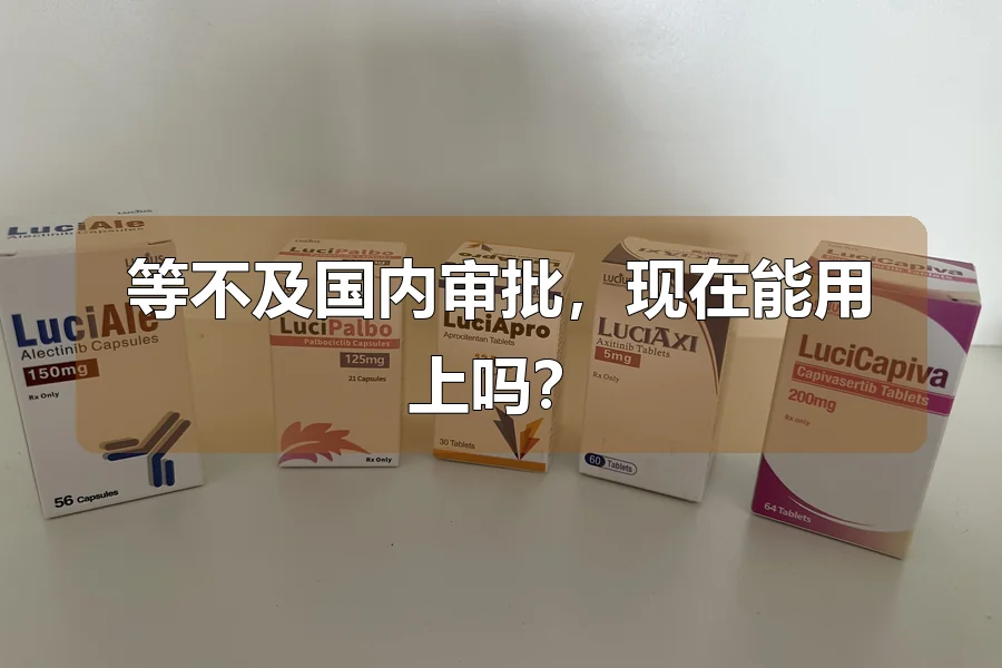 等不及国内审批，现在能用上吗？