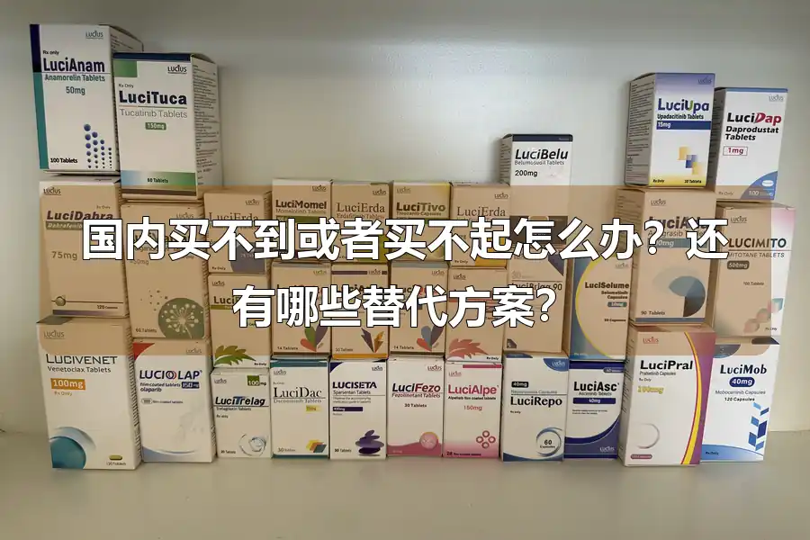 国内买不到或者买不起怎么办？还有哪些替代方案？