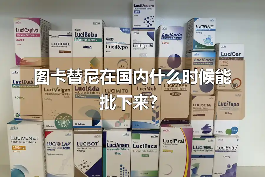 图卡替尼在国内什么时候能批下来？